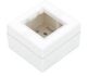 Modular Surface Gang Box (Silverline) 2 M