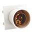 Flush Button Modular